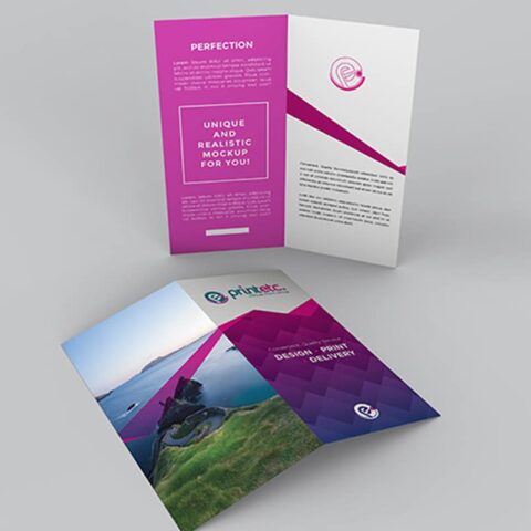 4 Pages DL Brochure